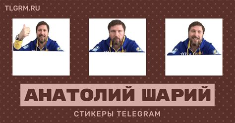 ifhbq|Анатолий Шарий – Telegram.